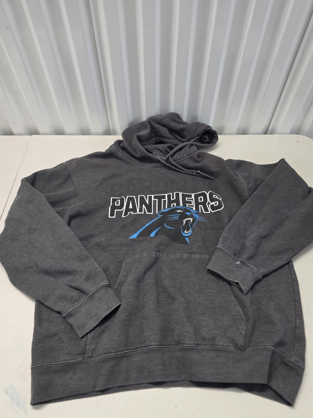 Carolina Panthers Pullover Hoodie NFL Team Men's Football Size L